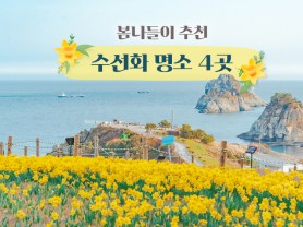 한국관광공사 수선화 명소 관광 추천